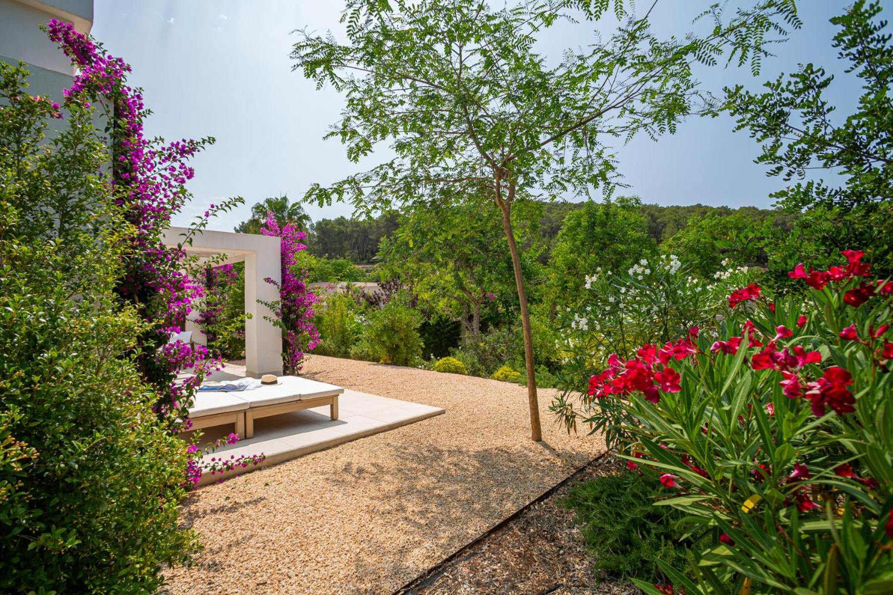 Garden Suite Premium